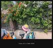 弥鹿（MiDeer）弥鹿户外功能系列幼儿背包可爱休闲旅行双肩包-小瓢虫绿(S) 实拍图
