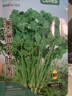 北蔬大叶香菜种子四季盆栽老品种家种蔬菜籽 大叶香菜籽种子600粒x2包 实拍图