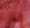 京鲜生 麒麟无籽西瓜 1粒装 净重5-7斤 生鲜水果 实拍图