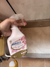 KONOKO宠物除臭剂猫咪猫砂抑菌除螨去尿味狗狗除臭喷雾臭味生物酶分解剂 实拍图