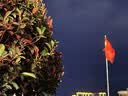 可孚 视力表国际标准家用对数成人挂图眼睛近视测试训练图 彩色悬挂款 实拍图