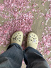 卡骆驰（CROCS）经典云朵洞洞鞋时尚百搭女鞋花园鞋沙滩鞋|206750 骨白色-2Y2(含智必星) 36 /37(230mm) 实拍图