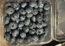 怡颗莓Driscoll's 云南蓝莓14mm+ 12盒装 约125g/盒 新鲜水果礼盒 实拍图
