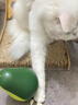 HELLOJOY猫玩具自嗨解闷逗猫棒不倒翁漏食球猫薄荷宠物猫玩的猫咪用品大全 实拍图
