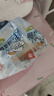 桃李酵母面包巧克力味600g 早餐手撕软面包西式糕点心办公室零食整箱 实拍图