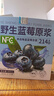 养益君100%NFC野生蓝莓原浆蓝莓汁果汁饮料纯果蔬汁果饮300ml 实拍图