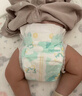 好奇（Huggies）小森林纸尿裤NB30(5kg以下)尿不湿心钻【透氧顶配更0痕】 实拍图