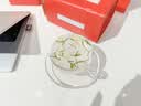 京笙茉莉花茶茶叶 特级川派横县飘雪浓香绿茶新茶礼盒装伴手送礼250g 实拍图