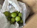 京鲜生 云南阳光玫瑰 净重2.8-3.3斤装单果8g+ 葡萄提子 源头直发包邮 实拍图