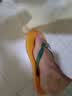 havaianas哈唯纳Brasil Logo巴西元素夹脚人字拖夏情侣拖鞋 1740-流行黄色 39-40 巴西码 实拍图