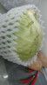 高原夏菜新鲜包菜卷心菜绿甘南菜甘蓝圆白菜时令蔬菜健康营养早餐 3斤净重农家好菜 实拍图