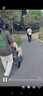 鱼跃(yuwell)手动轮椅车1100A折叠老人轻便便携式手推车旅行可上飞机 实拍图
