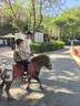 欧妮姿生日场景布置男孩生日气球道具氛围布置场景派对装饰快乐太空拉旗 实拍图