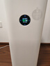 米家小米空气净化器5S【缓解花粉过敏】家用除甲醛除菌除过敏AC-M24-SC 实拍图