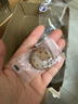 冬己（DDUNG DDUNG SEOI）黑糖麦芽饼夹心饼干休闲零食品办公室糕点点心早餐独立小包装500g 实拍图