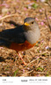 适马（SIGMA）16-300mm f3.5-6.7 DC OS ｜Contemporary 半画幅 远摄变焦镜头 旅游风光人像（富士X卡口） 实拍图