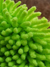 龟牌（Turtle Wax）雪尼尔除尘掸子蜡刷汽车洗车拖把刷子车掸蜡拖工具便捷TW-184 雪尼尔除尘掸 实拍图
