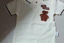 G.duck小黄鸭男童夏装套装夏季新款小童男宝宝时尚短袖条纹polo衫两件套 原创熊套装 100 cm (建议身高85-90cm,体重22-28斤) 实拍图