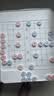 元萝卜SenseRobot AI下棋机器人 儿童早教学习中国象棋机器人 智能对话 AI陪伴机器人家用学习 旗舰版 实拍图