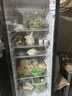 星星展示柜冷藏保鲜柜冷藏柜展示柜立式冰柜商用酒柜饮料冷柜风冷除霜单门便利店留样柜LSC-315H 实拍图