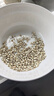 十月稻田 薏仁米 2斤 红豆薏米煮水 五谷杂粮 高蛋白粗粮 粥米 八宝粥原料 实拍图