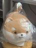 名创优品（MINISO）柴犬系列毛绒公仔趴姿玩具娃娃抱枕睡觉卧室办公室午睡枕生日礼物 实拍图