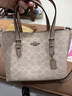 蔻驰（COACH）【品牌直供】女士MOLLIE中号斜挎手提托特包CV965送女友520礼物 实拍图