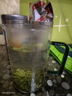 乐品乐茶特级毛尖绿茶2026新茶明前春茶嫩芽自己喝罐装茶叶送礼袋送长辈 【镇店之宝毛尖茶】 125g*2罐 实拍图