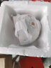 陶瓷碗家用喜庆乔迁新居碗碟餐具套装岁月静好饭碗 岁月静好3碗 实拍图