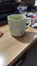 彩致（CAIZHI）马克杯家用陶瓷水杯学生泡茶杯办公室咖啡杯 奶油绿CZ6788 实拍图
