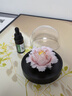 Para Ella永生花陶瓷牡丹生日礼物伴手礼母亲节妈妈结婚纪念护士退休情人节 实拍图