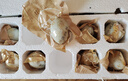 【热销百万单】正宗咸鸭蛋50g/枚饱满流油生鲜超市早餐新鲜即食 【活动专享】8枚特惠 实拍图