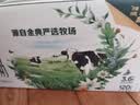 伊利【新鲜日期】金典纯牛奶早餐奶250ml*16 3.6g乳蛋白 礼盒装 3月 实拍图