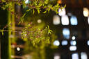 富士（FUJIFILM）X-T50/XT50 微单相机 套机（16-50mm镜头）4020万像素 7档五轴防抖 20款胶片模拟 石墨灰 实拍图