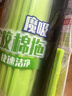 妙洁胶棉拖把头27cm共1头滚轮式卡槽加强型替换装海绵 实拍图