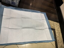 鲁希德宠物尿垫狗尿垫尿不湿除臭吸水不湿尿片隔尿垫猫屎垫S码100片*3包 实拍图