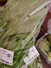油麦菜约300g 实拍图