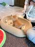 多特思幼猫羊奶猫条25支添加益生元幼猫咪零食湿粮 实拍图