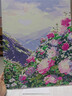 好久不见diy数字油画风景花卉手工填充丙烯画治愈减压油彩涂色礼物装饰画 实拍图