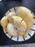 京鲜生 泰国金枕巴掌鲜榴莲2个装总净重4.5-5.5斤 单果2-3斤 源头直发 实拍图