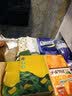 乐而雅花王日本进口 F系列 敏感肌轻薄 日用无护翼护垫 17cm 32片 无香 实拍图