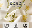 无印良品一次性床品四件套床笠床单被套枕套加厚酒店床上用品双人款巴洛克 实拍图