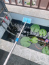巨奇鱼缸刷清洗清理工具清洁 伸缩鱼缸刷子长把刮藻水族用品大号 实拍图