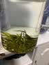 敬亭绿雪雨前茶2026年新茶尝鲜试喝绿茶宣城敬亭山毛峰雨前茶自己喝口粮茶 雨前茶（揉捻工艺） 50g罐装 实拍图
