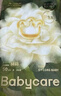 babycare金山茶花纸尿裤S58片(4-8kg)新生儿婴儿尿不湿超薄透气轻柔花苞裤 实拍图