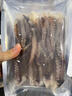 鱿鱼须冷冻新鲜现切鱿鱼须章鱼足鲜活速冻烧烤铁板海鲜水产食材 精品装【真鱿鱼 鲜活现切】 4斤 实拍图
