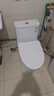 九牧（JOMOO）11173-2-1/31KD-3大力神家用马桶虹吸抗菌节水洁具305坑距 实拍图