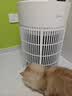 美的家用宠物空气净化器 吸猫毛除过敏源猫猫搭子猫毛净化器杀菌消毒除猫狗异味 卫健委备案 小怪兽PET500【宠物专享】 实拍图