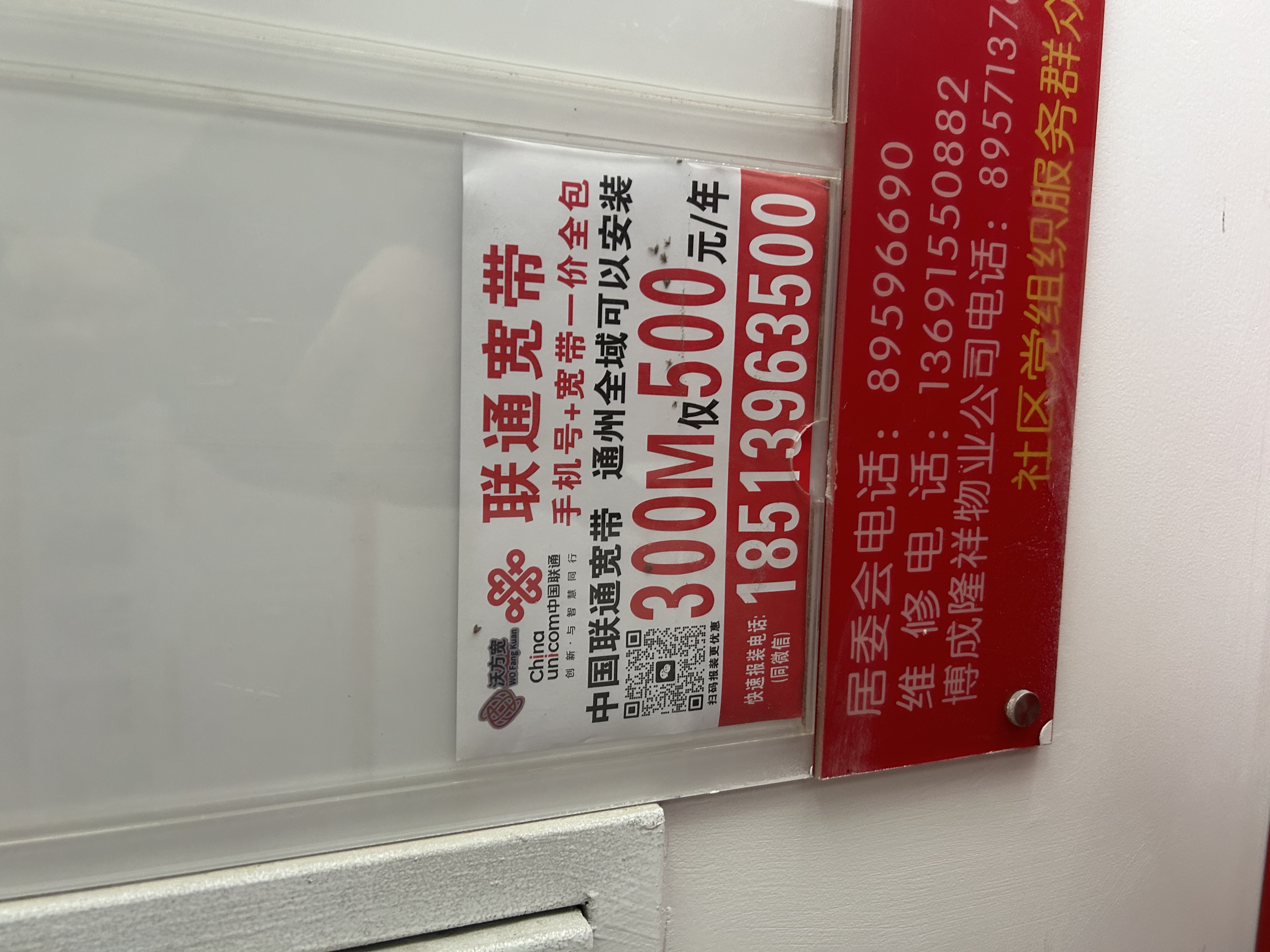 四万公里懒人鞋带扣儿童免绑免系鞋带弹簧扣卡扣调节扣鞋扣裤腰扣神器白色 实拍图