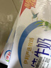 伊利【新鲜日期】纯牛奶250ml*24盒 优质乳蛋白 早餐奶礼盒装 2月产 实拍图